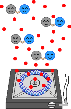 イラスト:上昇流