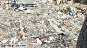 野田村の写真（2）