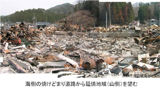 写真B：街区から林野へ延焼した状況(船越地区)